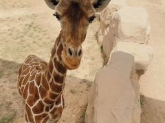 -太原动物园