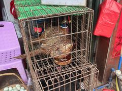 -永汉农贸综合市场