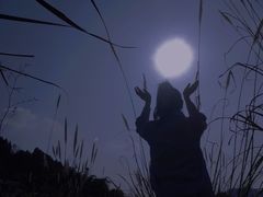 -白鹭湾湿地公园