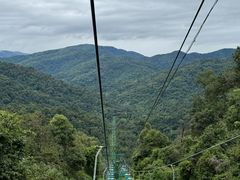 -野象谷景区
