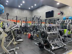 -健身专家Wellness Experts