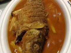 -阿五黄河大鲤鱼(英协路店)