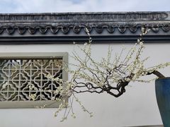 -杭州植物园
