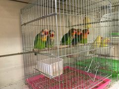 -山东嘉汇文化用品有限公司张店凤凰国际分公司(新村西路店)