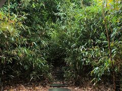 -八大山人梅湖景区