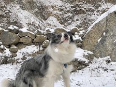 -太子岭滑雪场