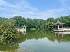 -青龙山国家森林公园