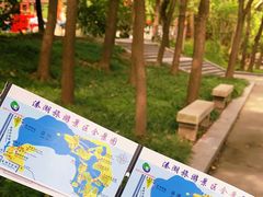 -溱湖国家湿地公园