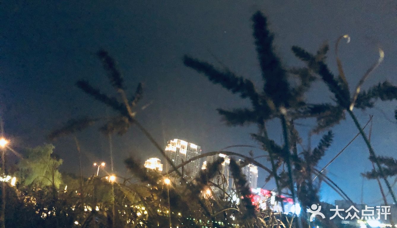 拍照也好喝朋友出来散散步