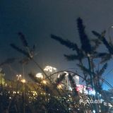 拍照也好喝朋友出来散散步
