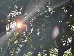 -春风习习