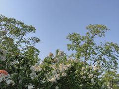 -湘湖金融镇