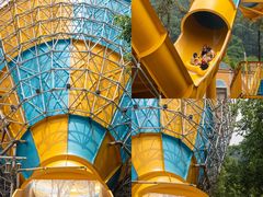 -重庆海昌加勒比海水世界