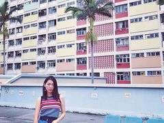 -彩虹村