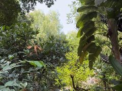 -大妙火锅·非物质文化遗产(东湖公园店)