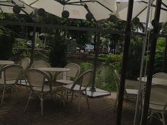 -奈雪的茶(大梅沙8号仓店)
