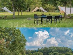 -福建鲤鱼洲酒店