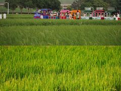 -光明小镇欢乐田园