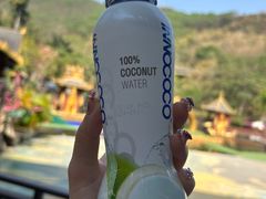 -西双版纳原始森林公园