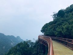-少华山国家森林公园