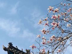 -碑林公园