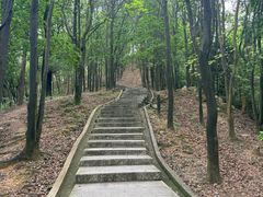 -火炉山森林公园