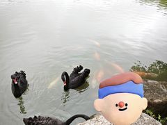 -珠海圆明新园