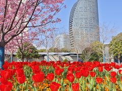 -丹东路渡口(轮渡站)