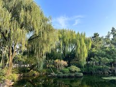 -秋霞圃