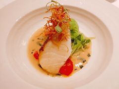 -蝶舍·MAISON PAPILLON