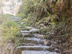 -楠溪江风景名胜区