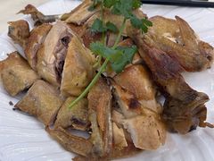 -新成海港大酒楼(康华路店)