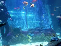 -沈阳海洋探索中心