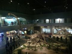 -自贡恐龙博物馆