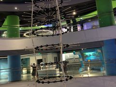 -苏州青少年科技馆