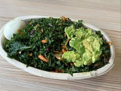 -油梨树 AVOCADO TREE(亮马桥店)