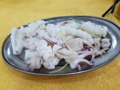 白灼鱿鱼須-蚝专家(北滘店)