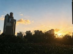 -陆家嘴世纪金融广场