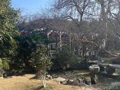 -镇江市南山风景名胜区竹林景区