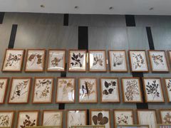 -国药集团冯了性国医馆(禅城店)