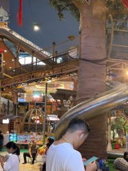 -卡通尼·Safari非洲探索乐园·生日会(金桥国际商业广场店)