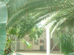 -郑州植物园