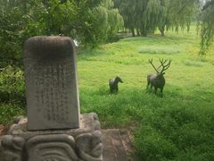 -北京麋鹿生态实验中心