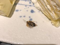 -海鼎荟海鲜姿造(仟禧汇店)