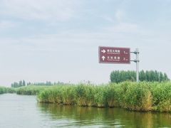-白洋淀景区