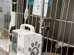 -御宝贝24h宠物医院·转诊中心·CT核磁血透中心(厦门总院)