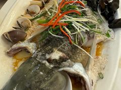 -鹭园酒家·四十年老字号