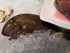 -阿飞冲浪旅店一馆