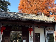 -汇龙潭