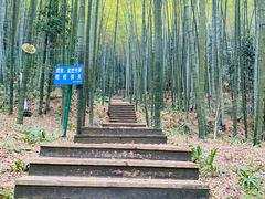 -缙云山景区